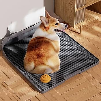 ペット用トイレ（小型犬用）　　実用新案登録　第3243494号 IRIS OHYAMA 犬 トイレ 犬トイレ ペットトイレ トイレトレー 犬