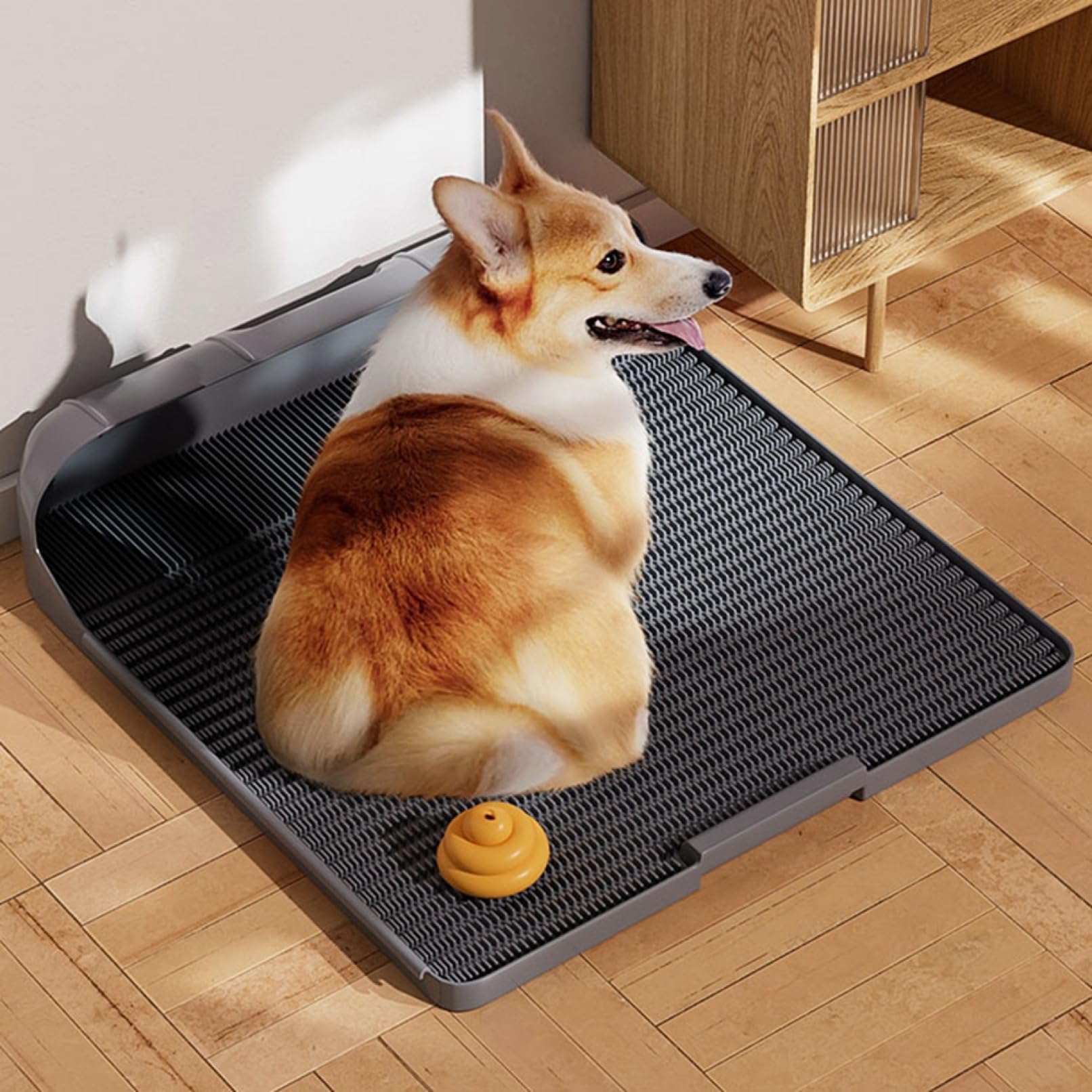 ペット用トイレ（小型犬用）　　実用新案登録　第3243494号 Amazon | 犬 トイレ 犬 トイレトレー ペット 犬用トイレ（42cm