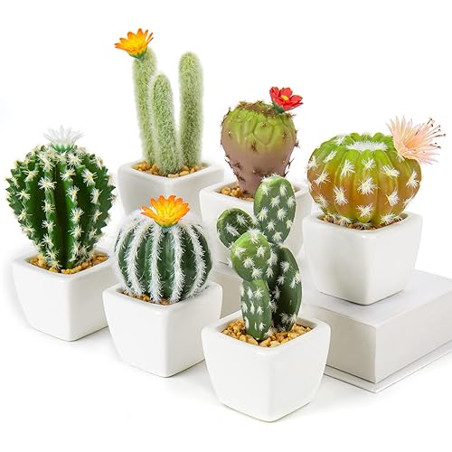 Oairse Mini Artificial Cactus Plants in Ceramic Pots 6 Pcs