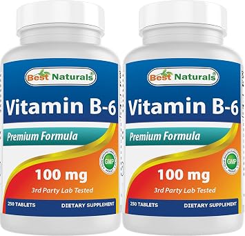 Best Naturals Vitamin B-6 100 mg 250 Tablets Pack of 2