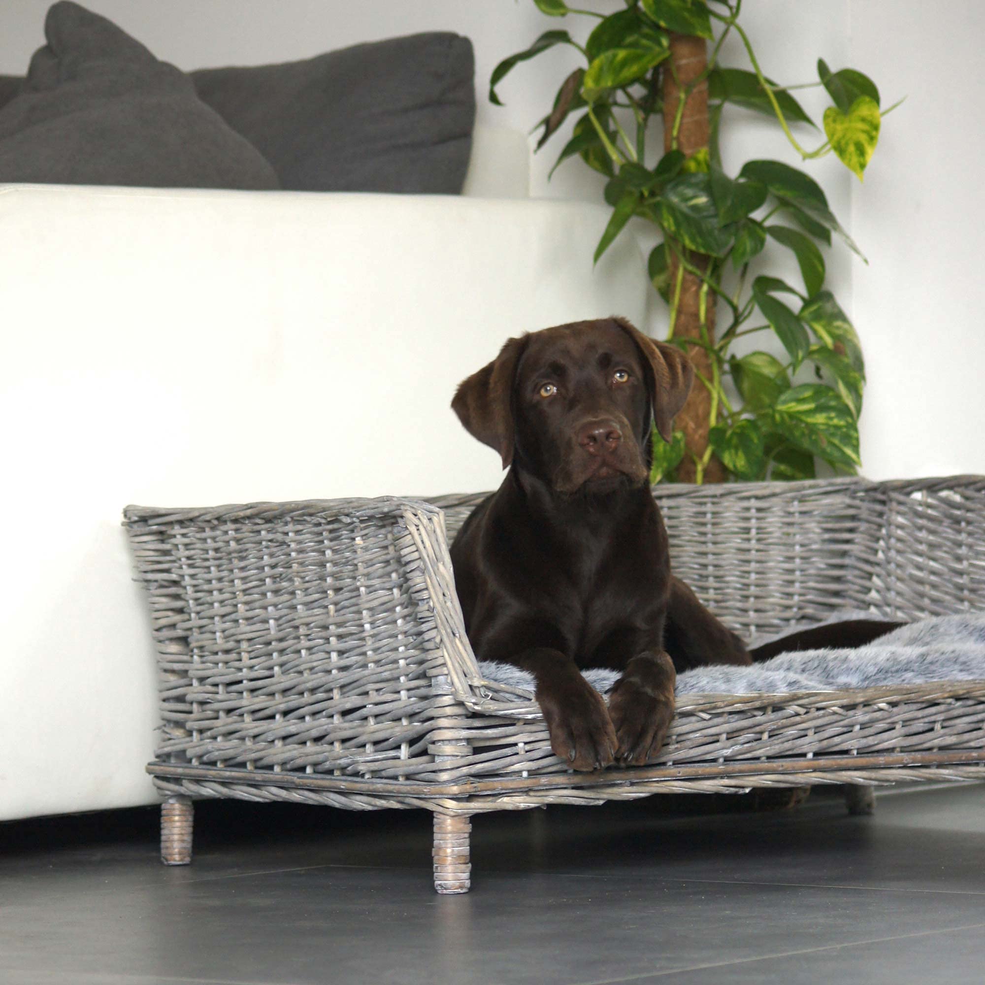 UNUS Panier pour Chien en Osier avec Coussin - Gris - Carré, pour Chiens Petits et Grands 88 cm de Largeur