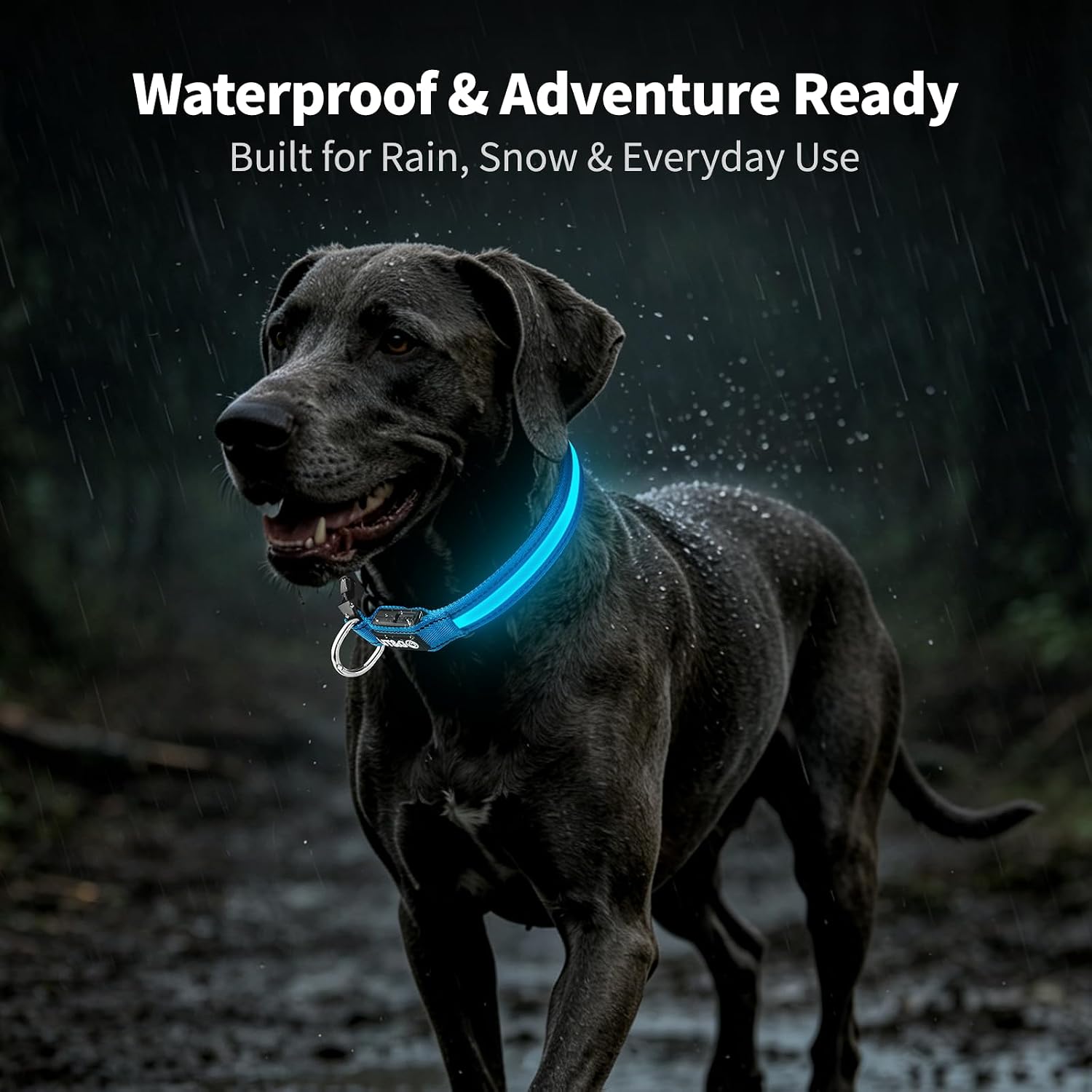 Light up Collars for Dogs at Night, 7-Color Glow, USB C Rechargeable image 4