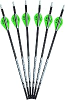 Vista 5 de Flechas con paletas paquete de 6