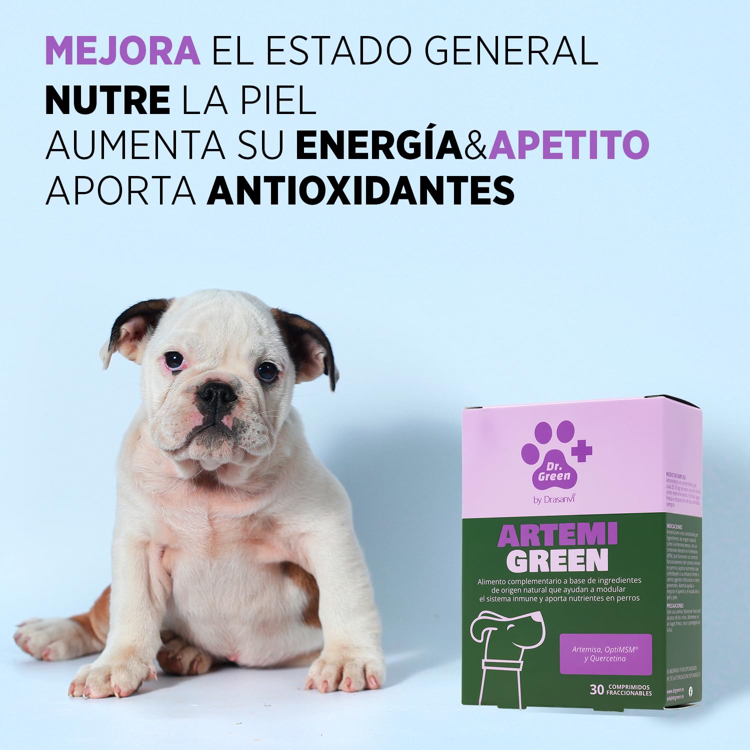 Drasanvi ARTEMIGREEN COMPLEMENTO NUTRICIONAL Perros | con Artemisa y ViItaminas | Apoyo Sistema Inmune Perros | Lesmaniosis Perro |Protección Mosquito leishmania |30 Comp= 1 Comp /15 kg Aroma Carne