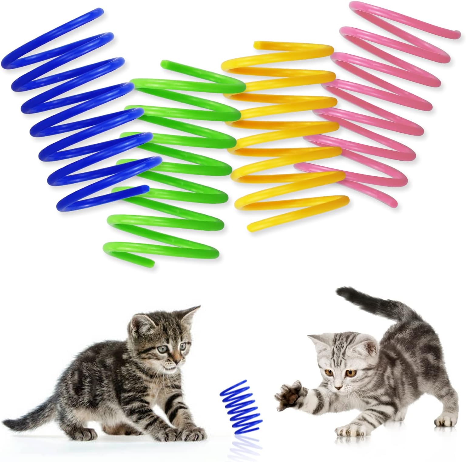 Colorful Springs Wide 10 Pk Ethical Pet : Amazon.co.uk: Pet Supplies