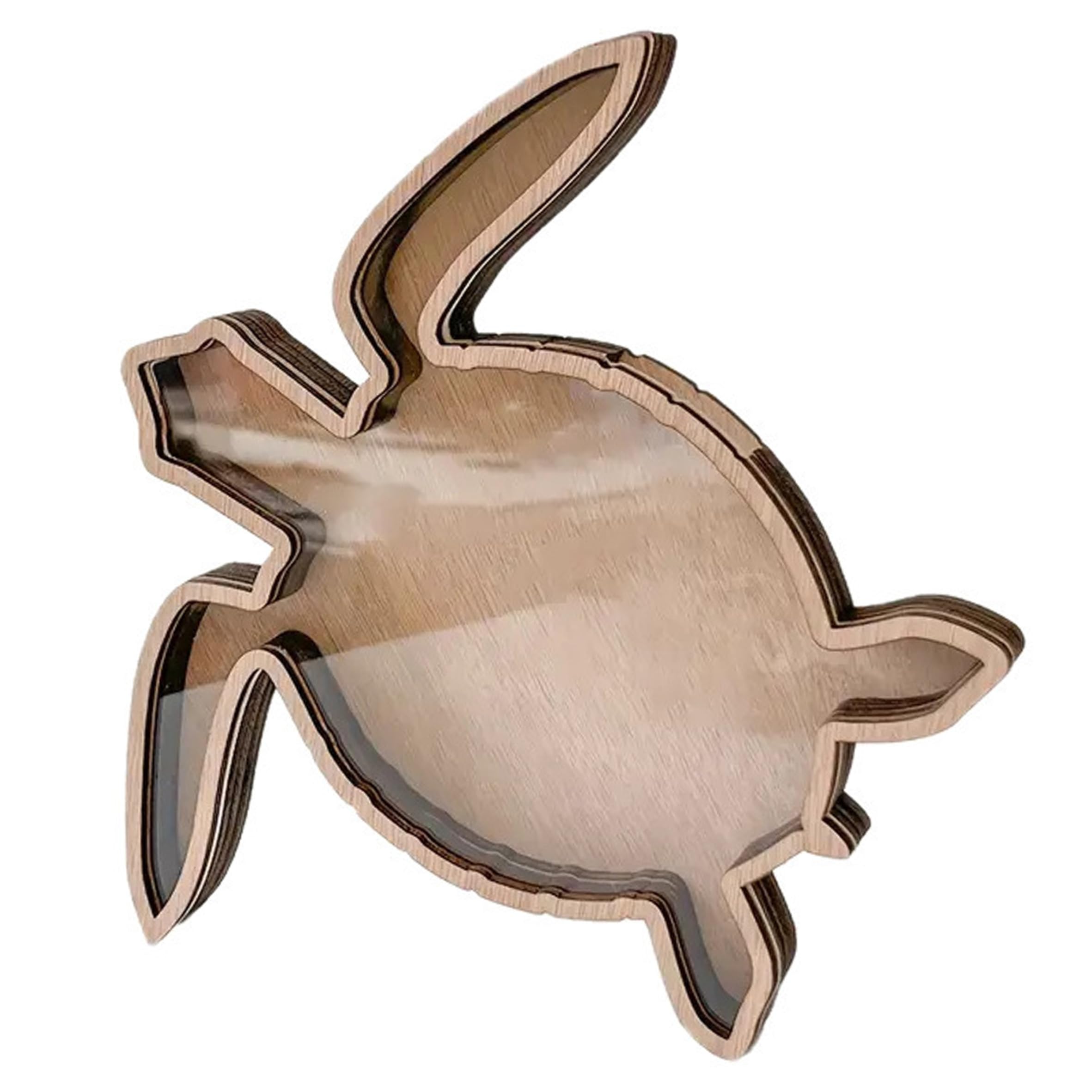 Ginwrek Seashell Display Box Seashell Holder, Wood Turtle Shadow Box Clear Display Collection for Stone, Jewelry, Teeth, Small Items, Shadow for Shells
