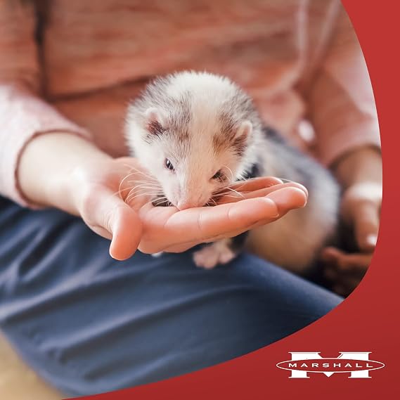 Marshall Pet Ferret Premium Diet 6lb