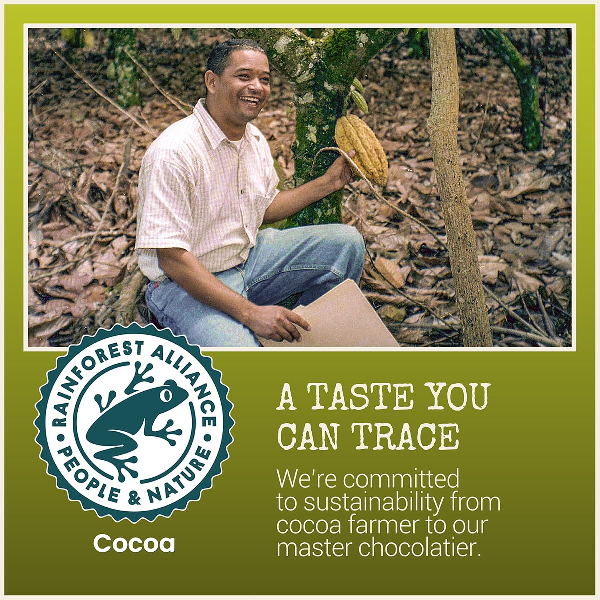 Chocolove Ginger Dark Chocolate Bars | 65% Cocoa | Infused with Crystalized Ginger Bits | Crafted with Premium Chocolate | Non GMO, Rainforest Alliance Certified, 3.2oz Bar (12 Pack)