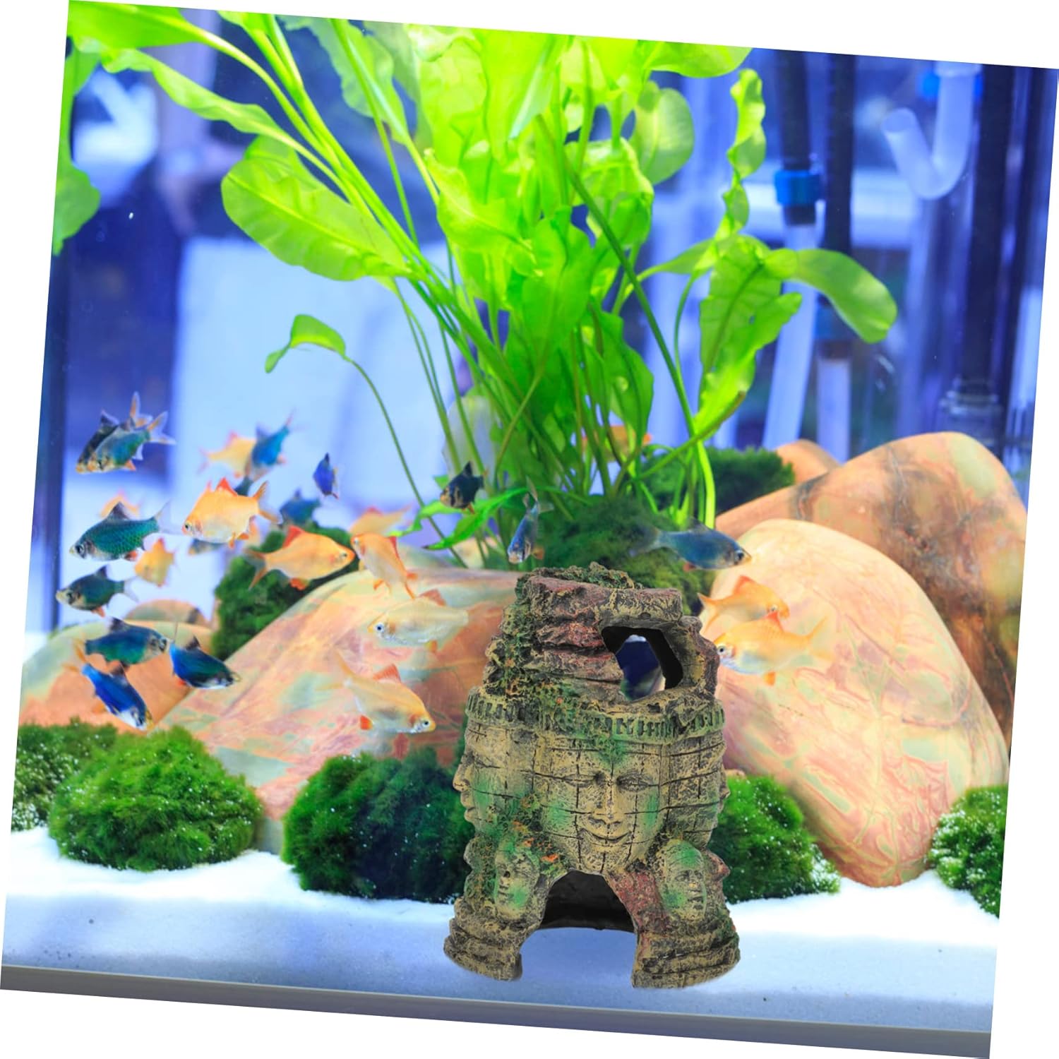Vivid Reptile Hideout Cave Decor Lightweight Terrarium Accessory for Reptiles Decorative Design Lifelike Details for Lizards Snakes and Amphibians