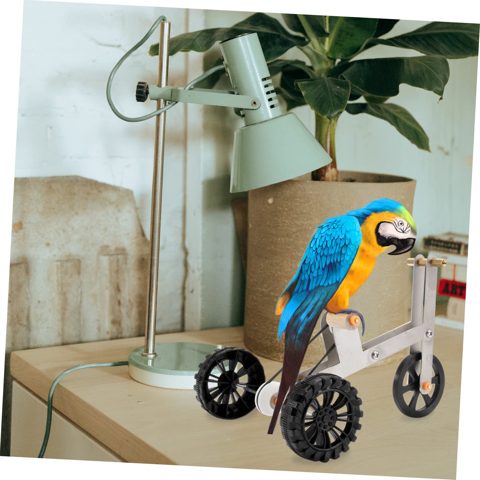 DOITOOL 3stücke Parrot Training Toy Lustiges Vogelspielzeug Für Wellensittiche Und Papageien Spielzeug Aktivität Für Käfige Beschäftigung