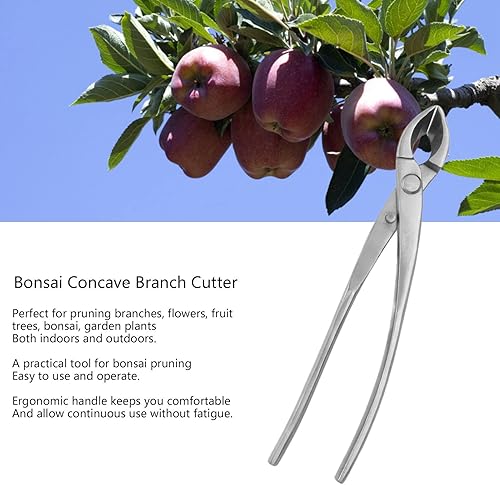 Miniatura 2 de LAVEN - Cortador de ramas cóncavas de bonsái, cortador de perilla redonda de bisel de aleación para jardín en casa, herramientas de bonsái, cortador