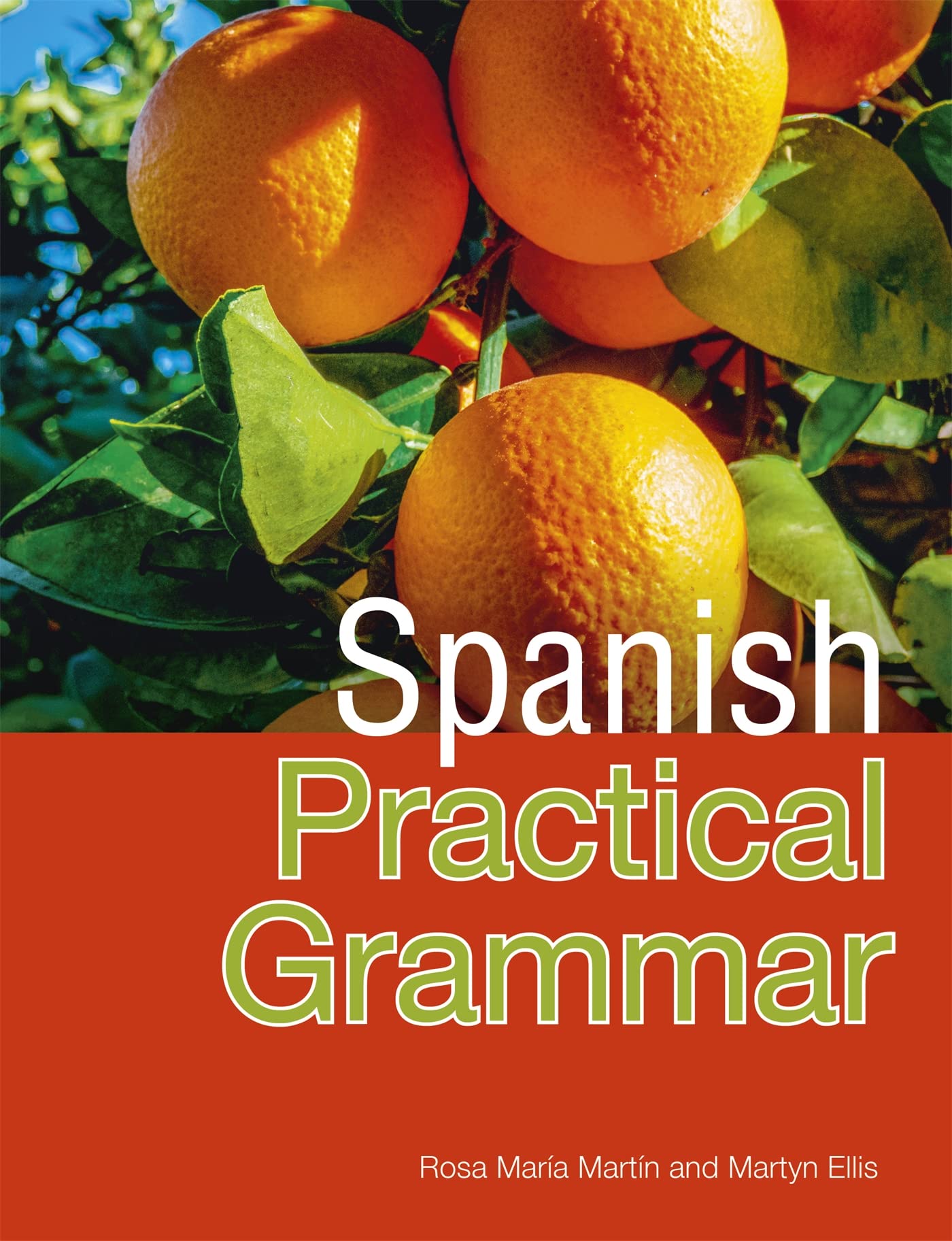 Pasos Spanish Practical Grammar: 4th Edition (All That Matters)