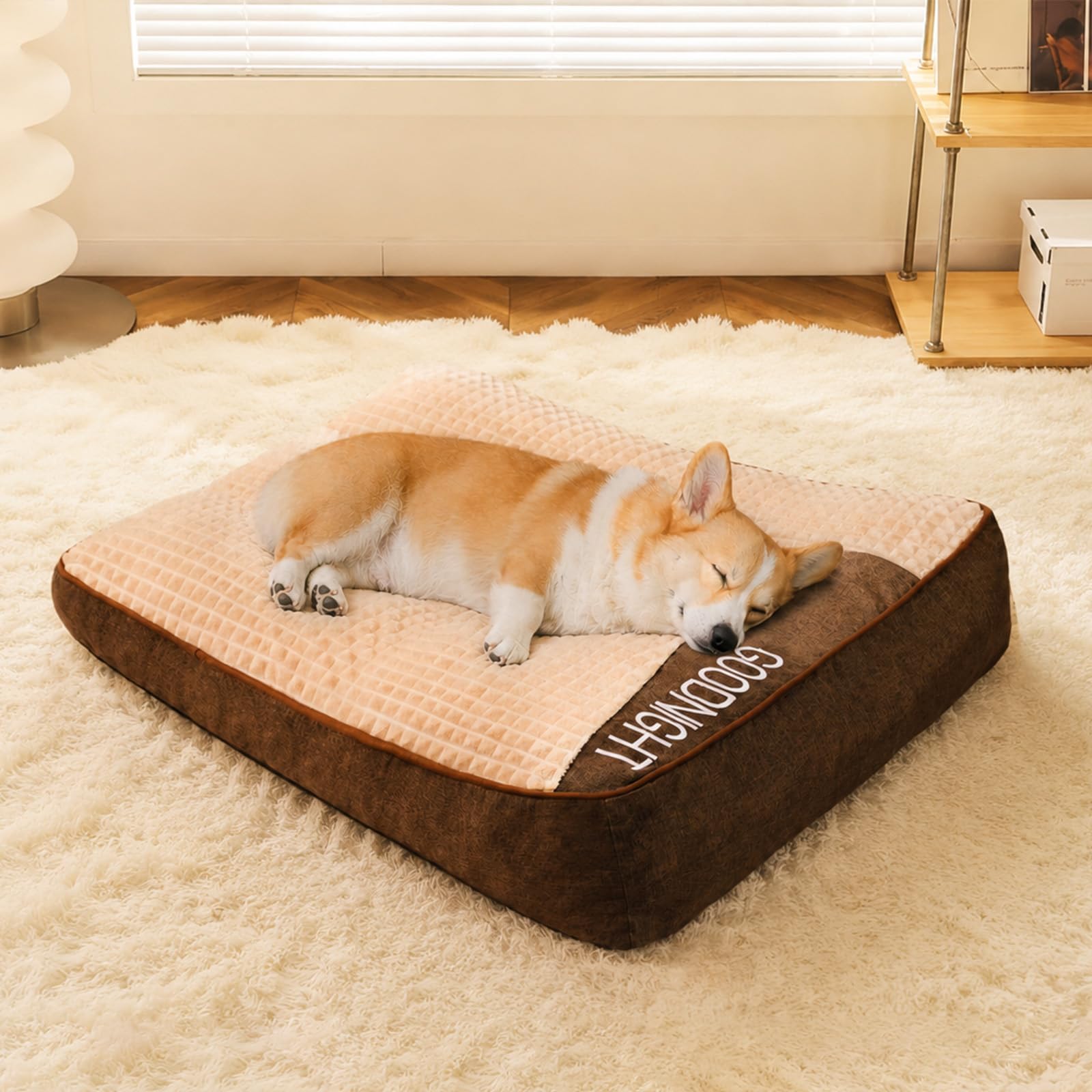 FUNNY FUZZY Orthopaedic Dog Beds & Dog Cushion Bed – Velvety Plush Washable Pet Bed, Shredded Memory Foam Support, Non-Slip Dog Sleeping Mat & Cosy Nap Spot for Large Dogs (80 x 64 x 18 cm)