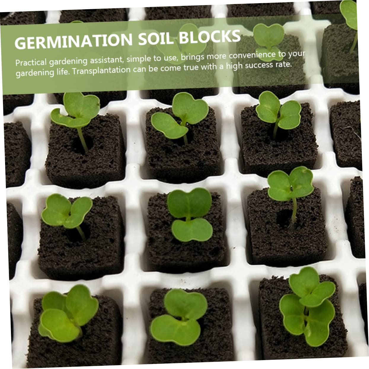 POPETPOP 150pièces Blocs De Culture sans Terre pour Accessoire De Plantation Hydroponique pour Et Urbains