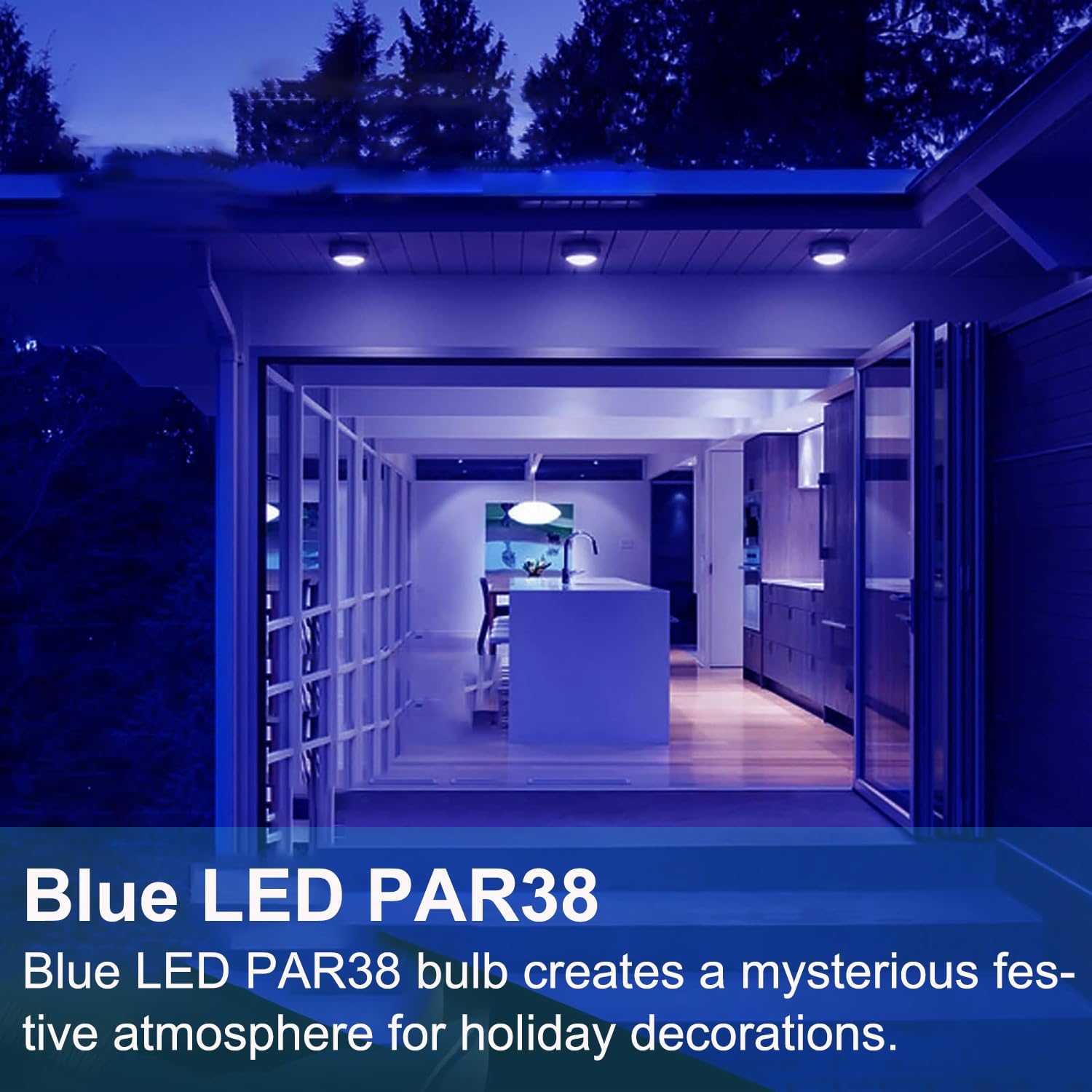 PAR38 Blue Bulbs Dimmable, 2 Pack High Output 700Lumens PAR38 LED Bulb 15W Equivalent 100W 120V, E26 Base, Colored PAR 38 Outdoor Flood Light Bulbs Blue for Christmas, Halloween, Porch Party
