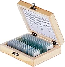 AmScope PS25 Prepared Microscope Slide Set for Basic Biological Science Education, 25 Slides, Includes Fitted Wooden Case - coolthings.us