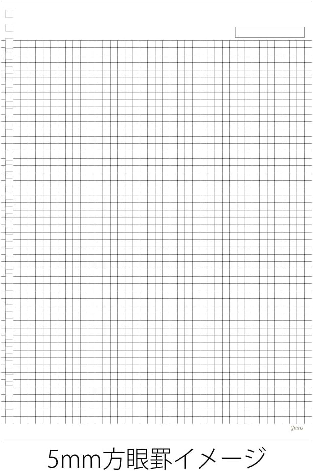 Maruman loose-leaf ziurisu A4 30 Hole 5 mm Grid Ruled hl107b