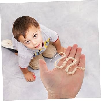 Amazon | SAFIGLE ヘビの骨格標本 動物の頭蓋骨の装飾 デスクト