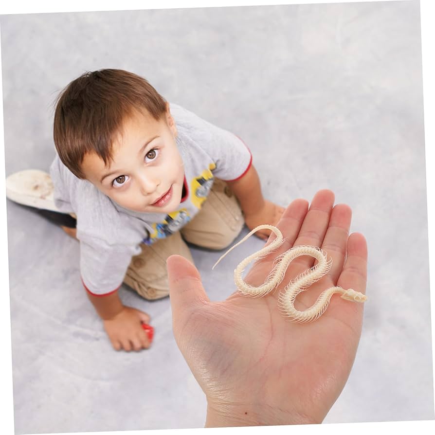 Amazon | SAFIGLE ヘビの骨格標本 動物の頭蓋骨の装飾 デスクト