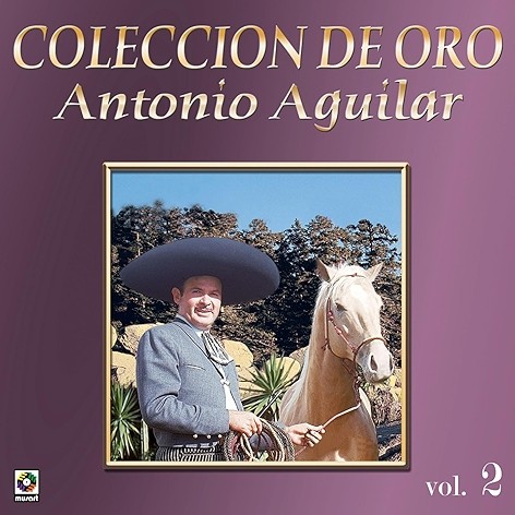 Caballo Prieto Azabache