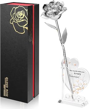 Anthonic Gold Dipped Infinity Rose Last Forever Flower Decor, Birthday Gift for Women in Her Birthday Valentines Day Mothers Day, Resin Preserved Rose | Anniversary Present for Mom Silver