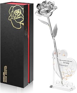 Gold Dipped Infinity Rose Last Forever Flower Decor, Birthday Gift for Women in Her Birthday Mothers Day, Resin Preserved Rose | Anniversary Present for Mom (Silver)