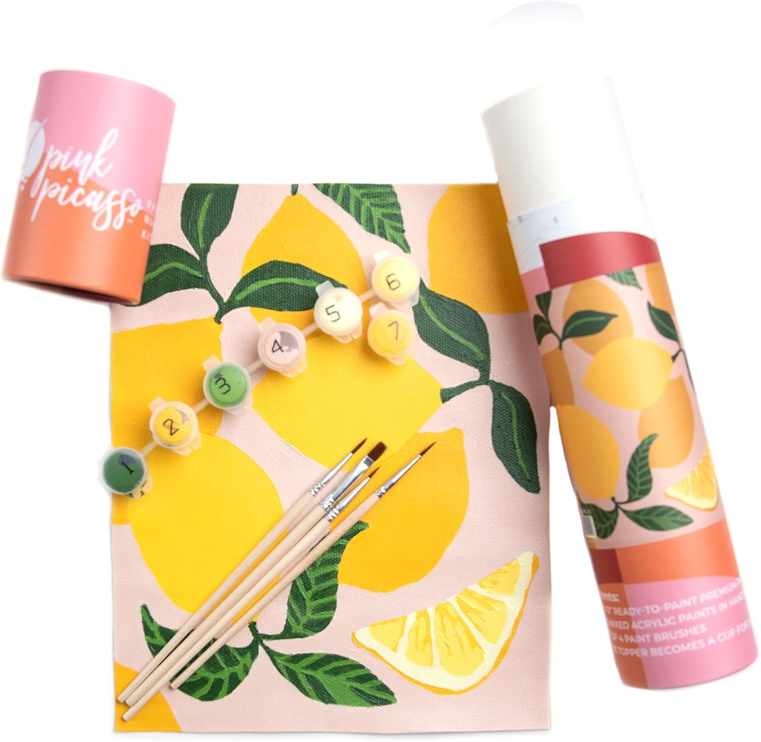 Pink Picasso Kits Mid Century Modern Paint by Number for All Ages | DIY Color by Numbers Craft Kit Acrylic Paint Canvas Beginners Painting Kits as Seen On Shark Tank | (Be Zesty) 8x10-Paint Kit Set