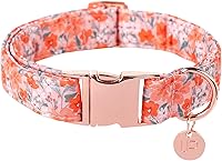 Vista 18 de Collar de perro de algodón de dinosaurio con hebilla de metal, collar de regalo para niñas o niños pequeños, medianos y grandes, lindos collares