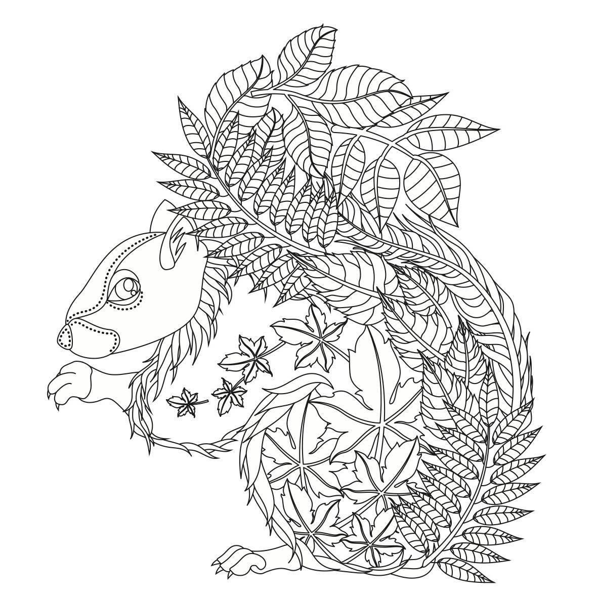 Amazon.com: Sweary Coloring Book: books, biography, latest update