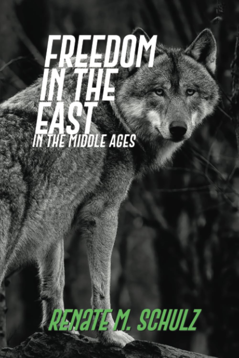 Freedom in the East: In the Middle Ages