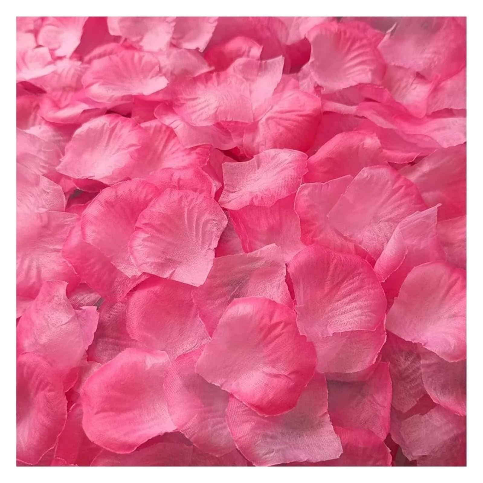 BPABDEITR Artificial Silk Rose Petals Multicolor 1000/3000 Pcs Wedding Decoration(Durk Pink,1000pcs)