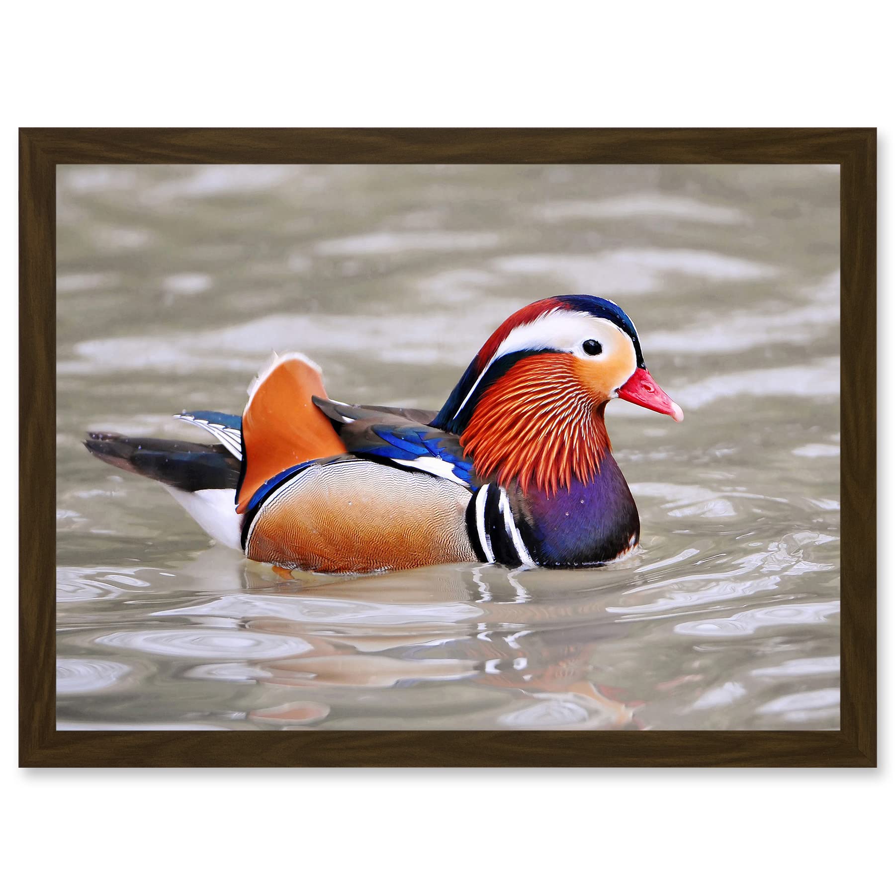 Artery8 Animal Photo Bird Male Mandarin Duck Artwork Framed Wall Art Print A4