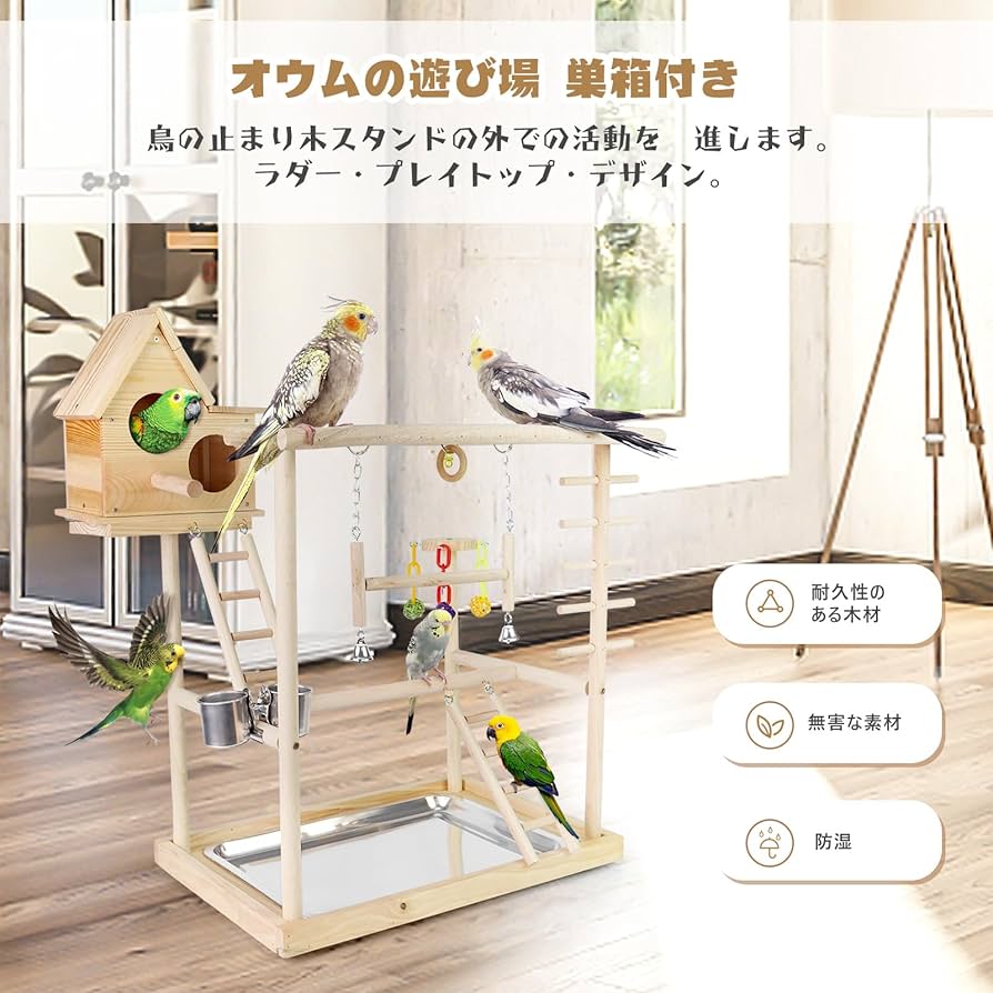 置物 Amazon | インコ 遊び場 鳥 プレイグラウンド 遊園地 鳥スタンド