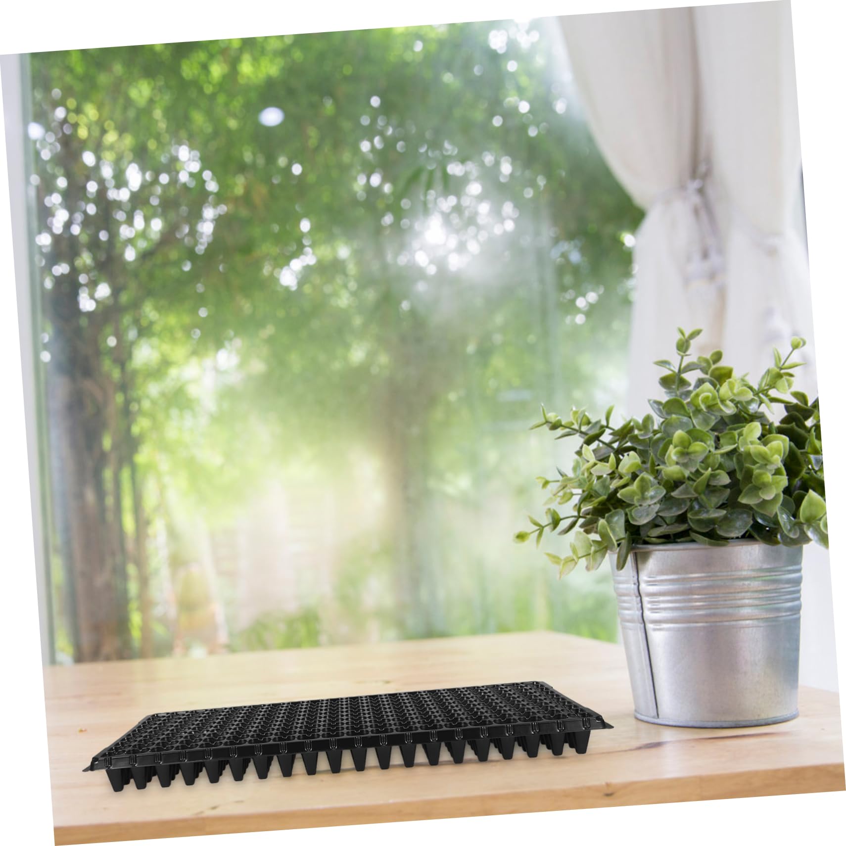 BESTonZON Plateau de Culture de Semis 10 Pièces PVC Noir 200 Cellules