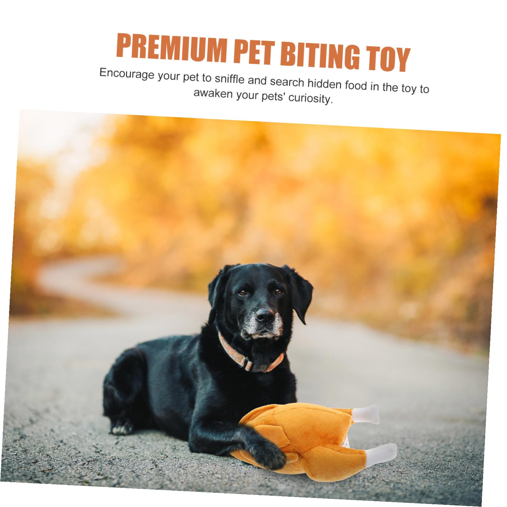 BESPORTBLE 5piezas Juguete Interactivo para Perros Juguete De Masticar Creativo y Estimulante para Sniffing para Entrenamiento y Diversión De Mascotas