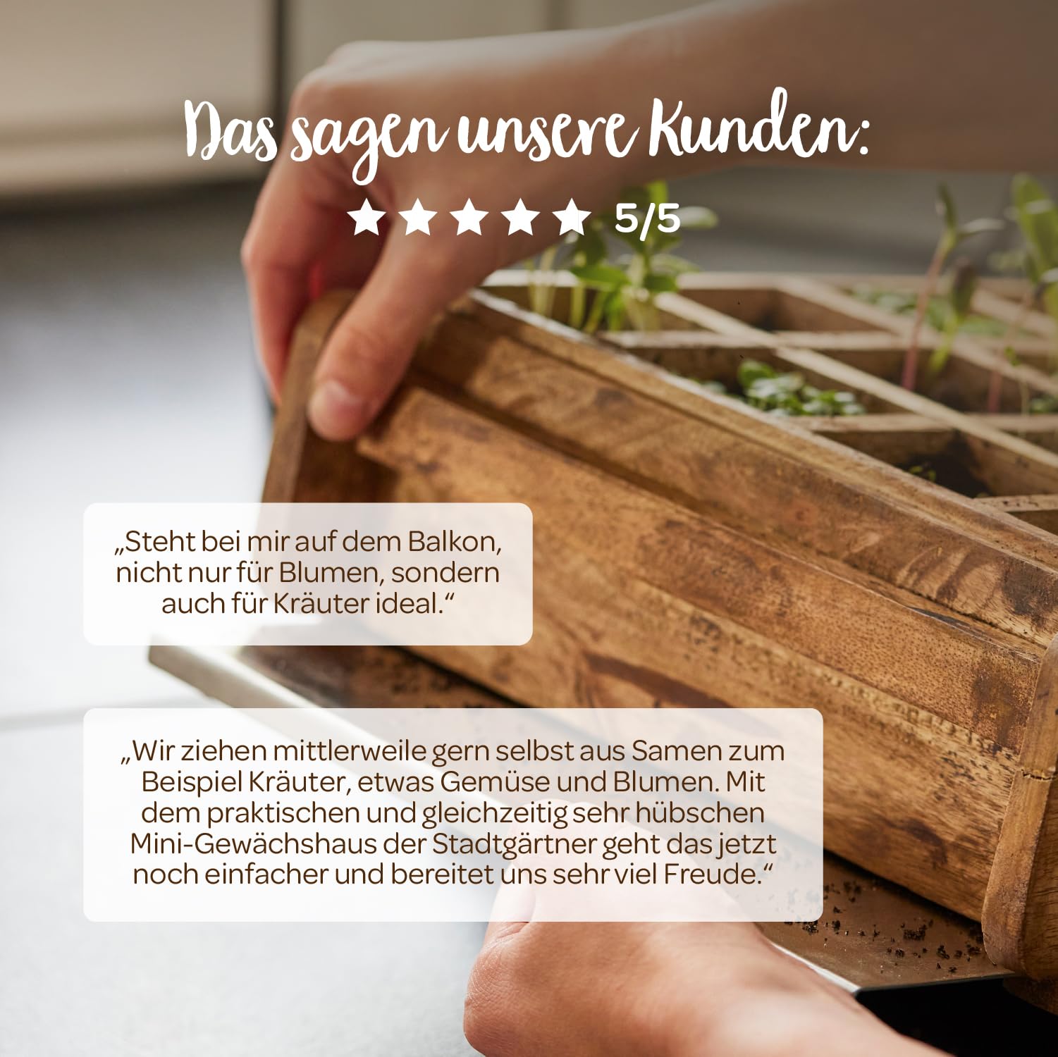 Modernes Gewächshaus als Deko, für Anzucht & für Kräuter | Aus Glas, recyceltem Holz und Metall | Zimmergewächshaus als Dekoration | 31 x 26 x 29 cm |