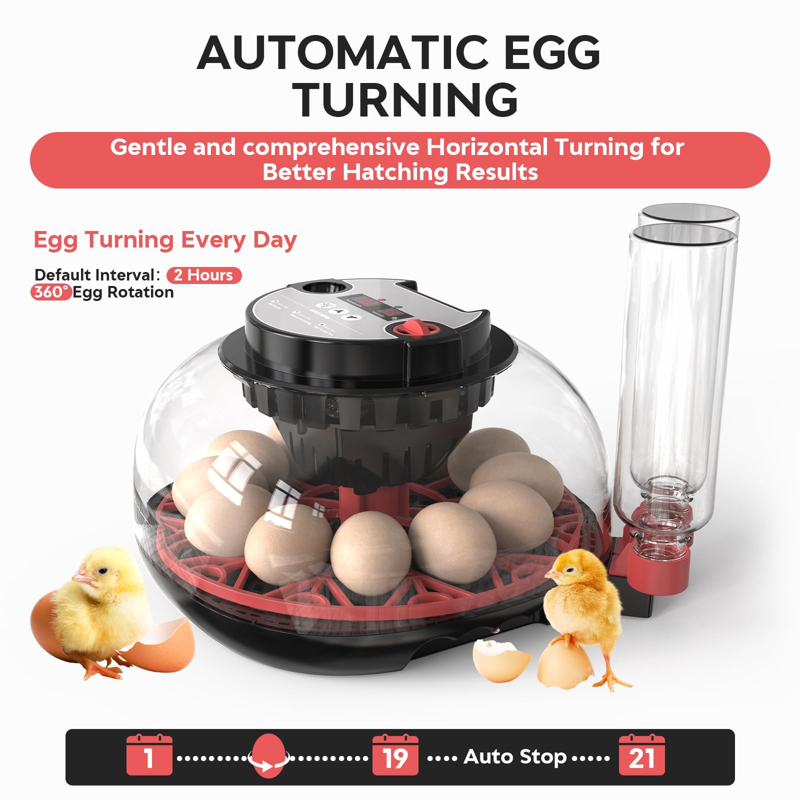 Incubadora de Huevos, Incubadora de 12 Huevos con Volteo Automático de Huevos y Humidificación automática, Incubadora para Huevos de Gallina, Codorniz, Pato, con Lámpara de Huevo
