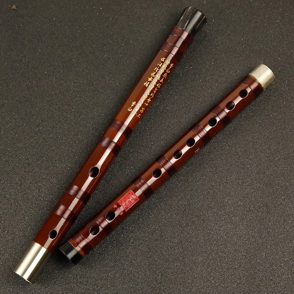 dizi DiZi Bambus Flöte Professionelle Musikinstrumente Spezielle High-End-Flöte for Anfänger Bitter Bambusflöte mit Aluminiumlegierung Flötenkasten Full-Set von Zubehör Bambusflöten(G)