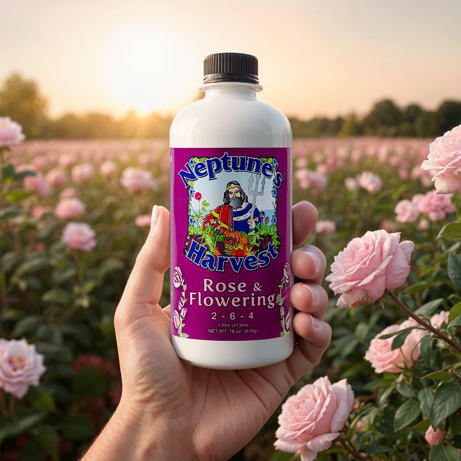 Neptune's Harvest Organic Plant Fertilizer | Liquid Fertilizer for Lawn, Garden & Houseplant | Rich in Essential Nutrients | Tomato & Veg 2-4-2 (Pint) + Rose & Flowering Plant Food 2-6-4 (Pint)