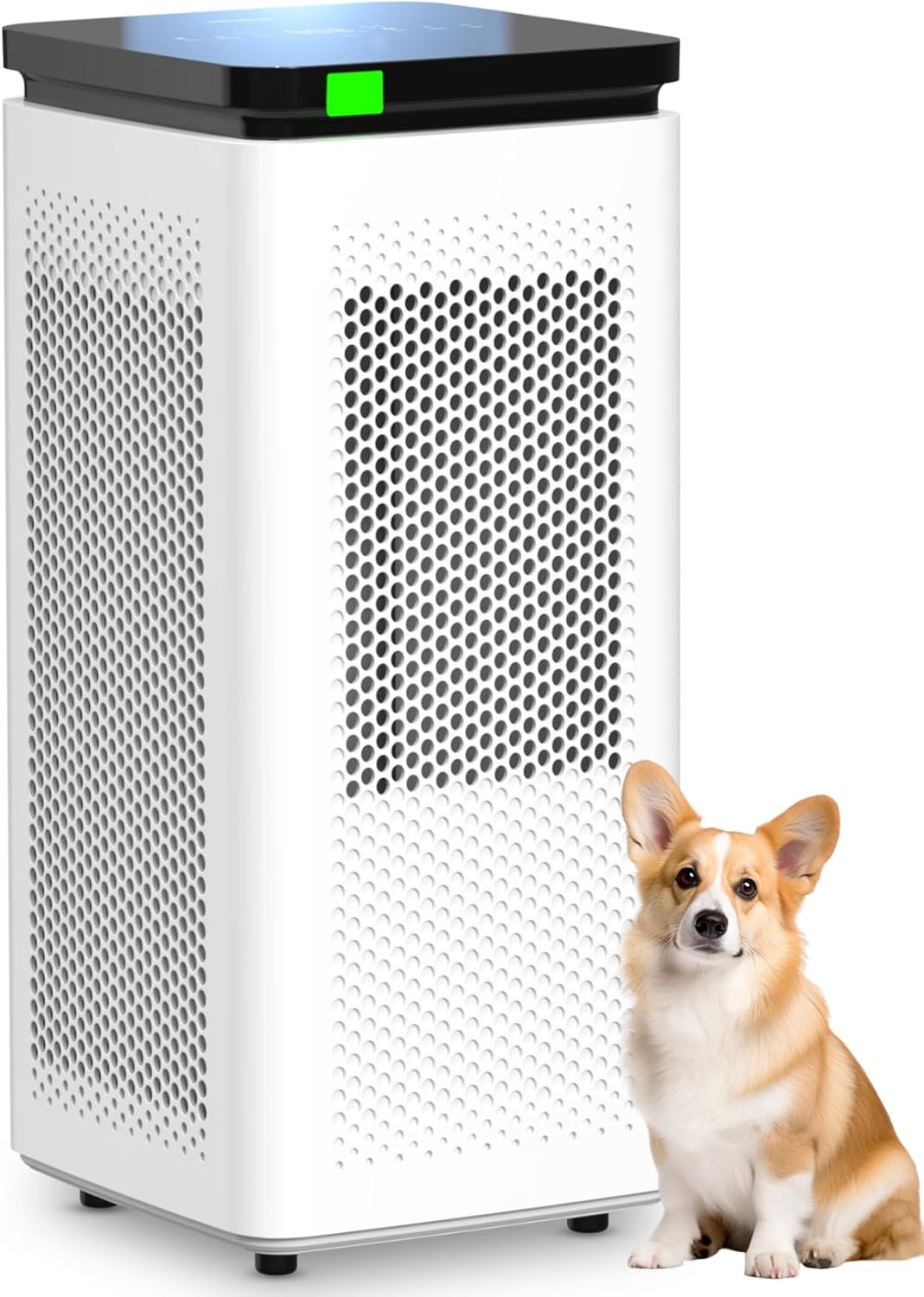 Air Purifiers for Home Large Rooms up to 3500 Ft², H13 True HEPA 0.1 Micron 99.97% Filtration with C