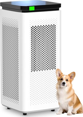 Air Purifier for Large Rooms up to 3500 sq ft, H13 True HEPA & Carbon Filter, 23