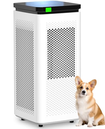 Air Purifiers for Home Large Rooms up to 3500 Ft²,
