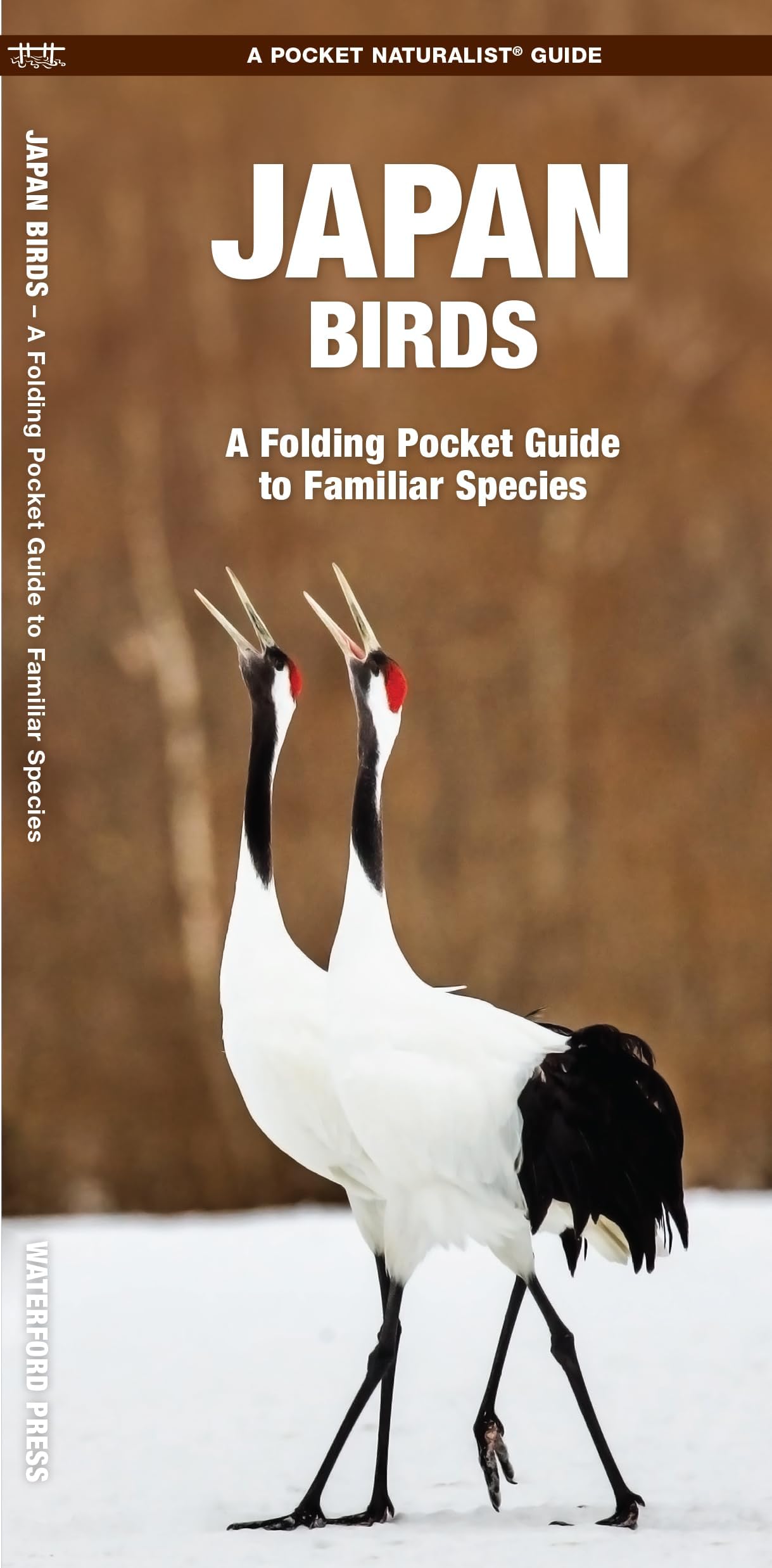 Japan Birds (Nature Observation International)
