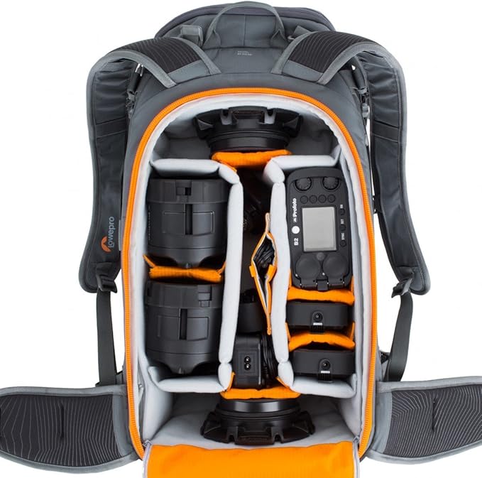 louis vuitton carpet cost