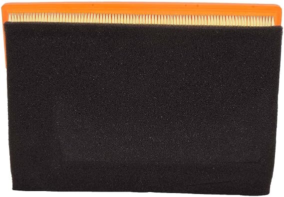Engine Air Filter A1096C
