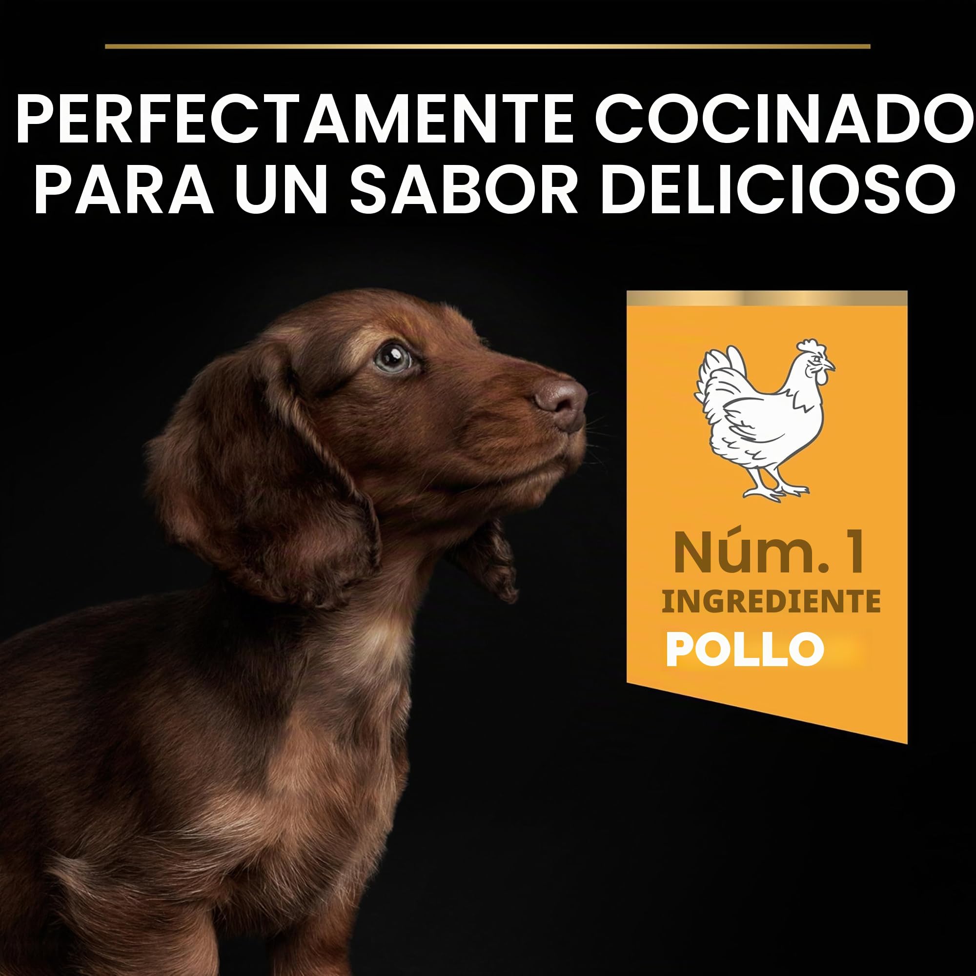 Pro Plan Purina Small & Mini Puppy OPTI Start Chicken Comida para Perros - 7000 gr