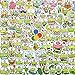 100 adesivi kawaii per computer portatile, bottiglie d'acqua, decalcomanie a forma di rana Keroppi adesivi impermeabili in vinile per bambini, adulti, tennis, skateboard, bagagli, computer