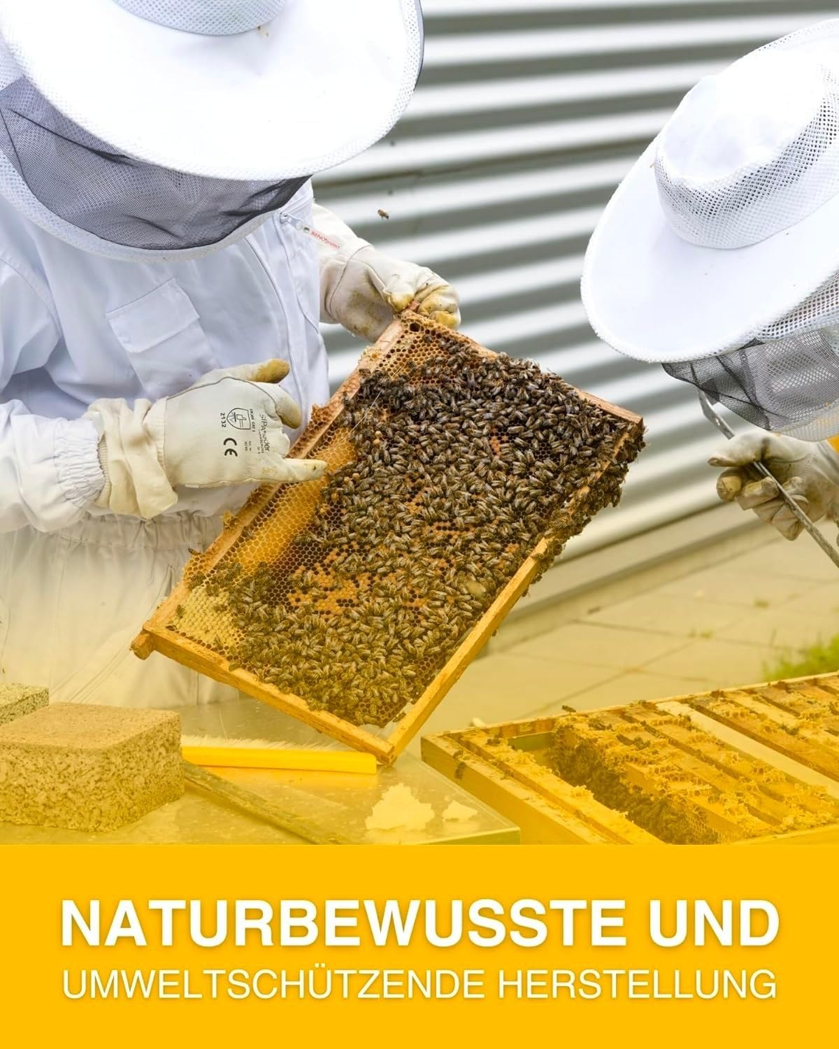 Pan de abeja del Norte Perga 250 g – Producto natural de la casa Imkerei Sievers – Perga polen de abeja – rico en proteínas vitaminas, minerales, pan de abeja para comer – polen de flores