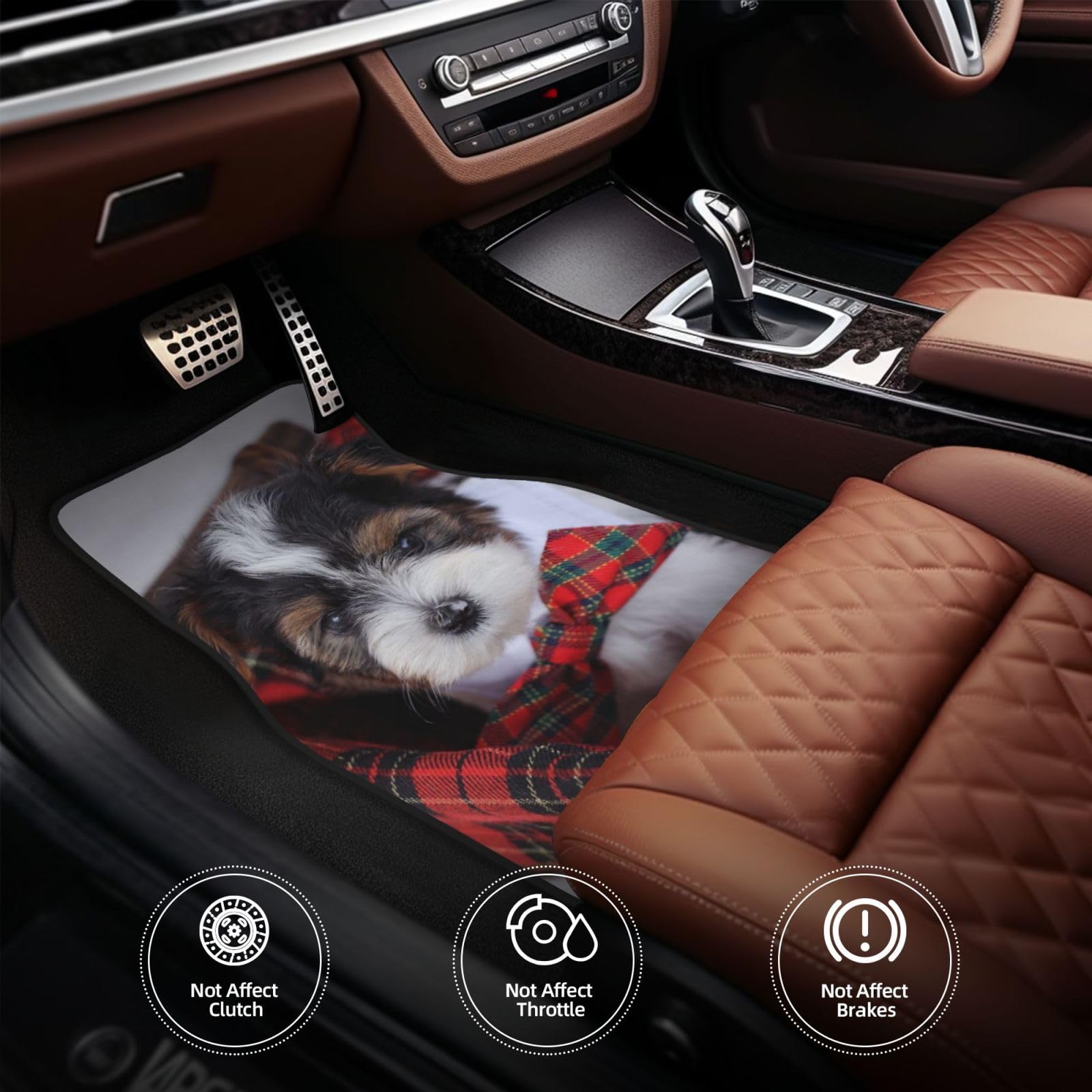 Biewer Terrier Welpen, 4er-Set Auto-Fußmatten, Neopren-Fußmatten für Fahrzeuge, rutschfeste Auto-Fußmatten, Autozubehör