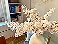 Customer image 4